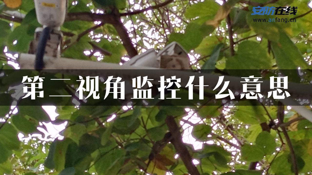 第二视角监控什么意思