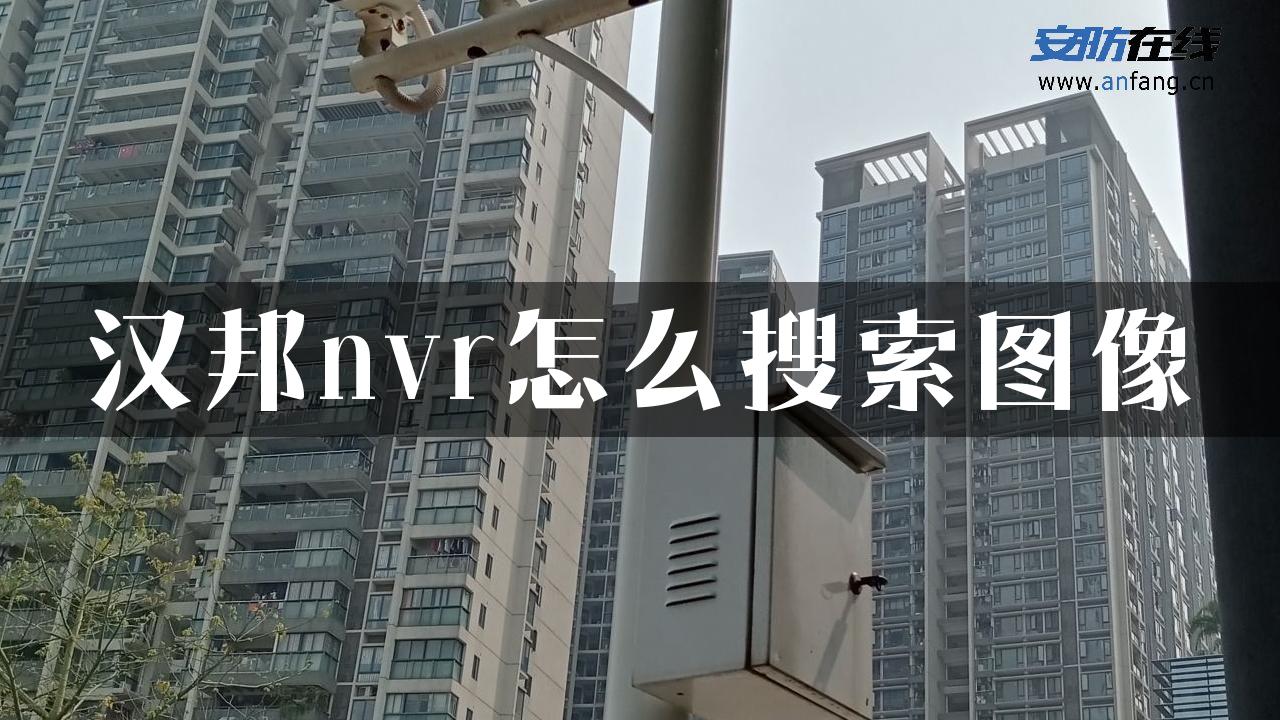 汉邦nvr怎么搜索图像