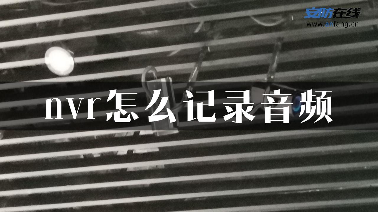 nvr怎么记录音频