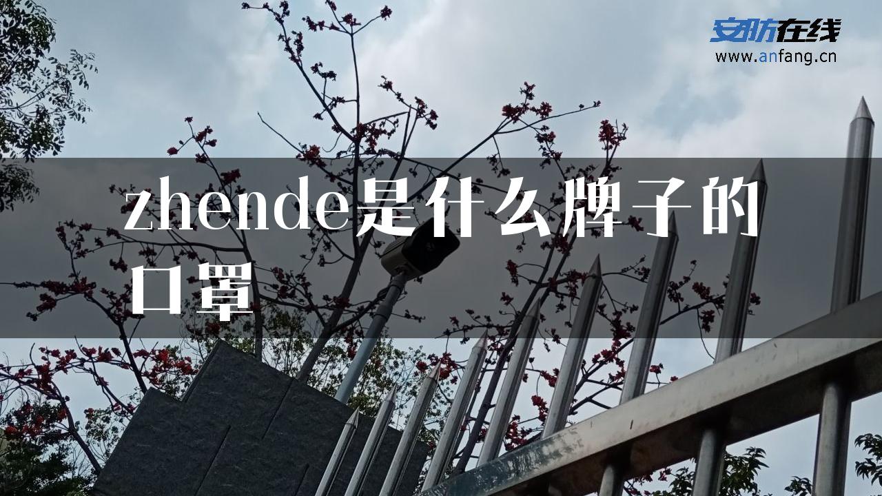 zhende是什么牌子的口罩