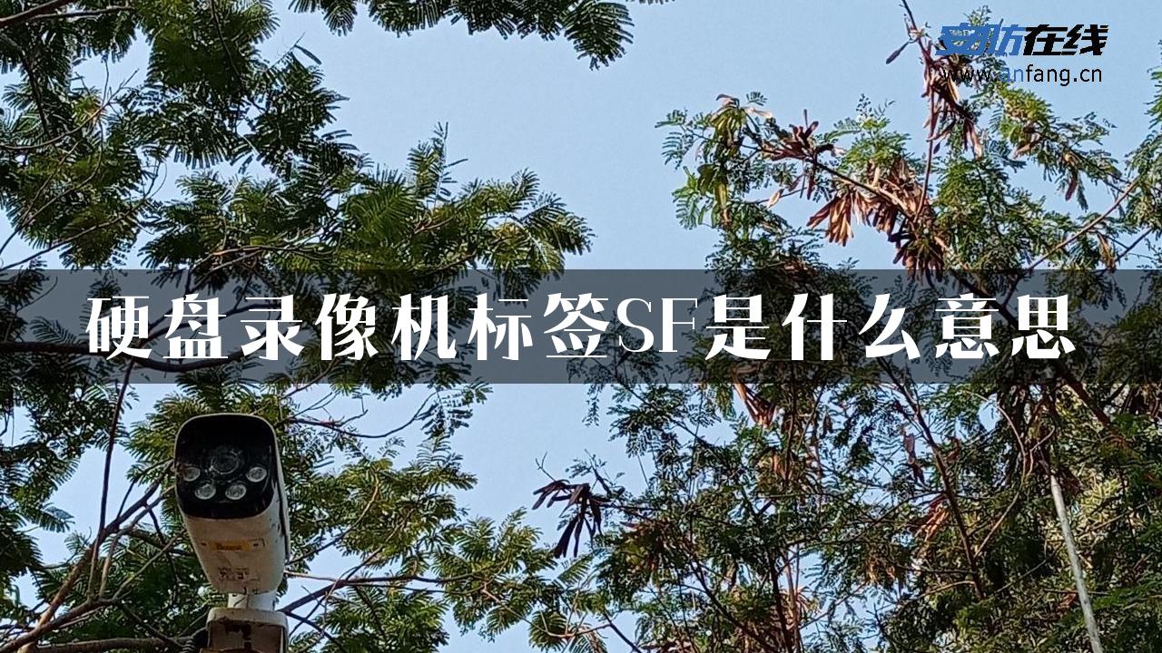 硬盘录像机标签SF是什么意思