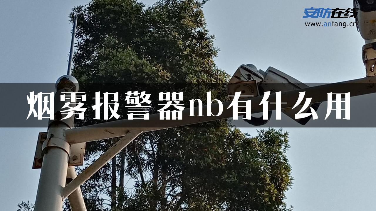 烟雾报警器nb有什么用