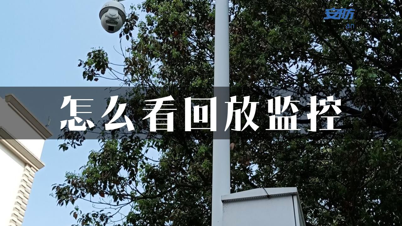 怎么看回放监控