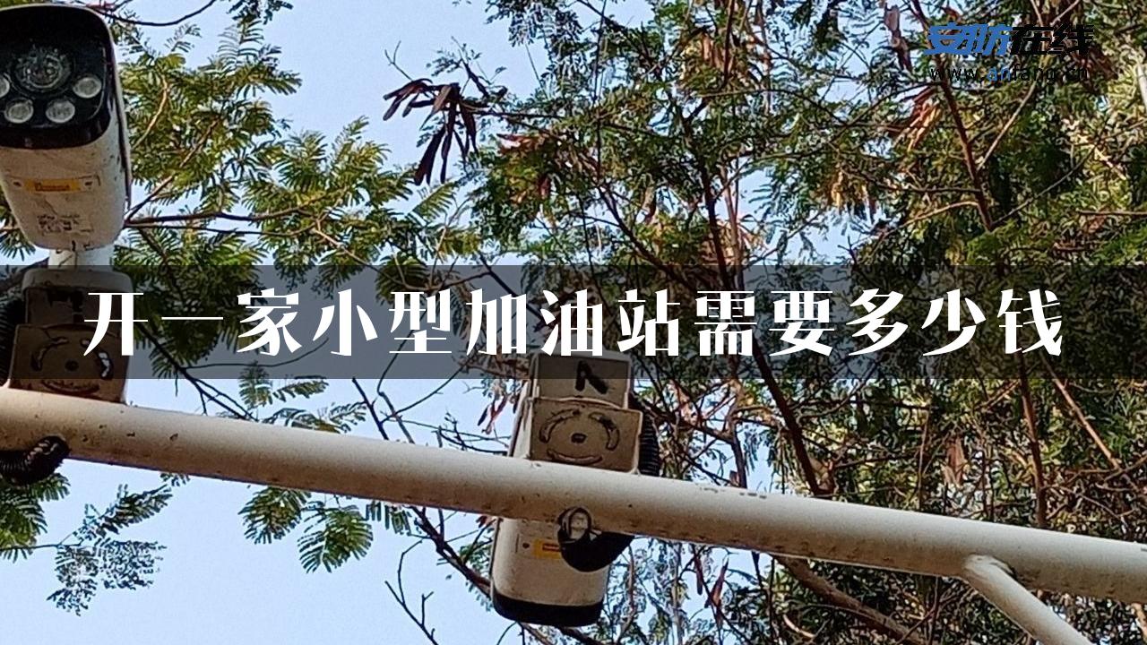 开一家小型加油站需要多少钱