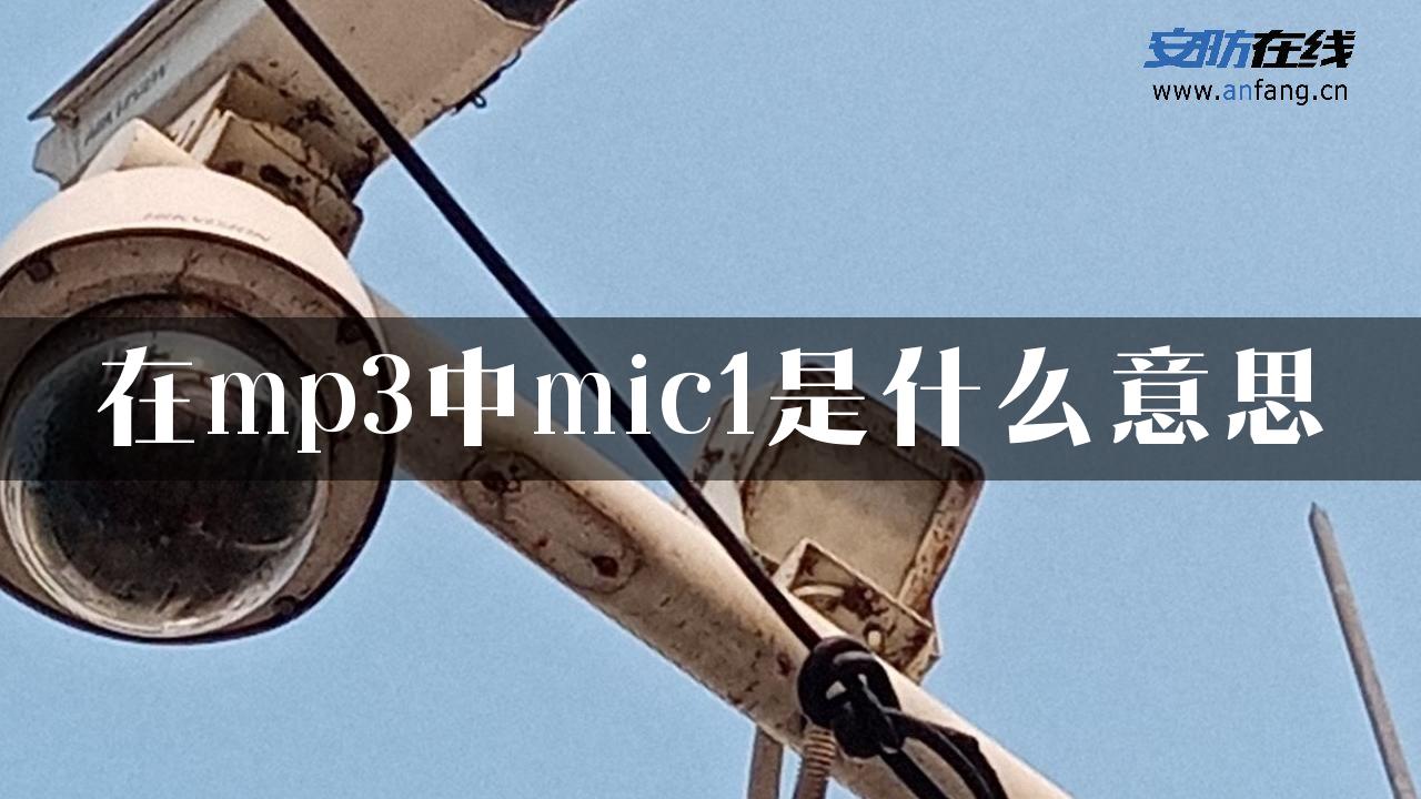 在mp3中mic1是什么意思