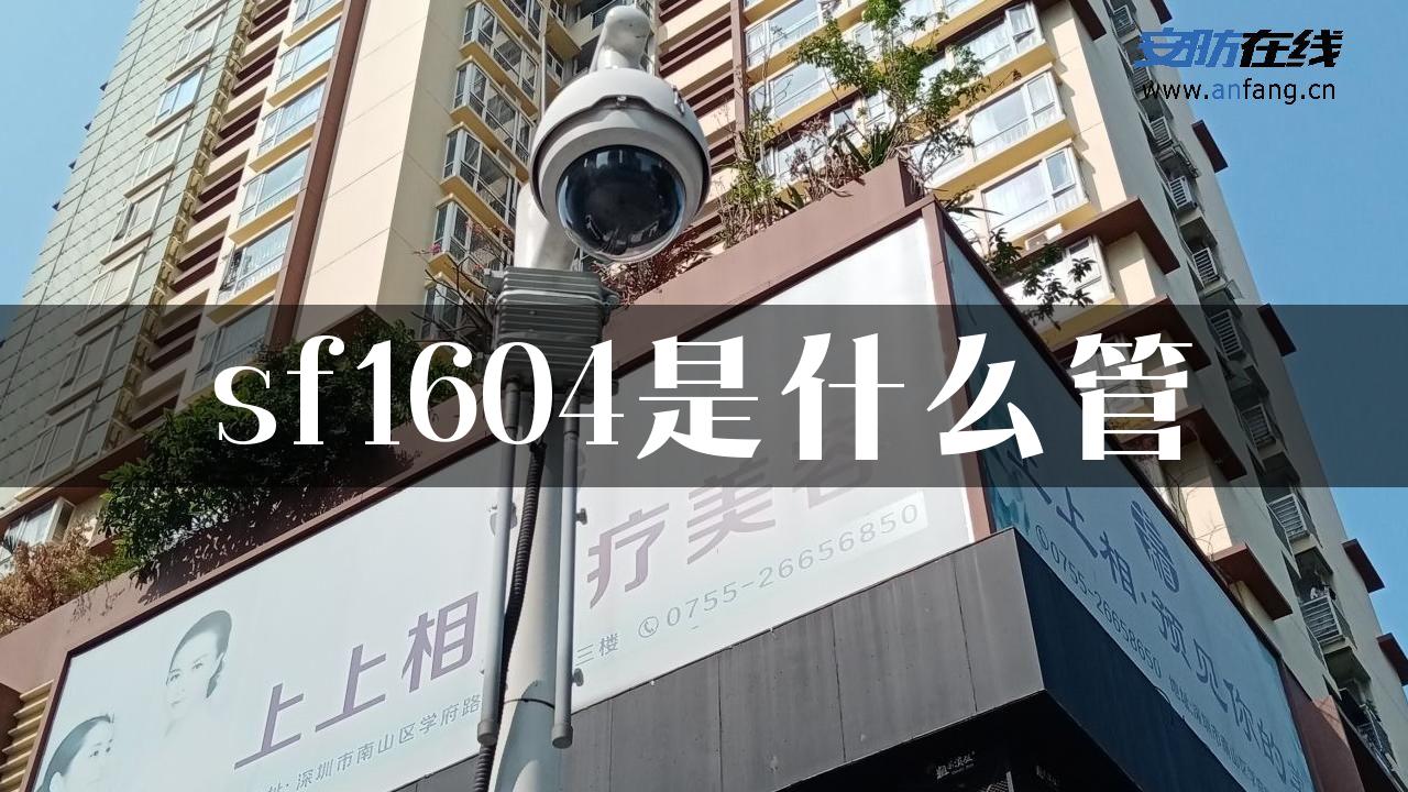 sf1604是什么管