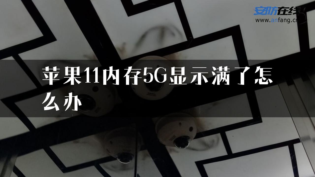 苹果11内存5G显示满了怎么办