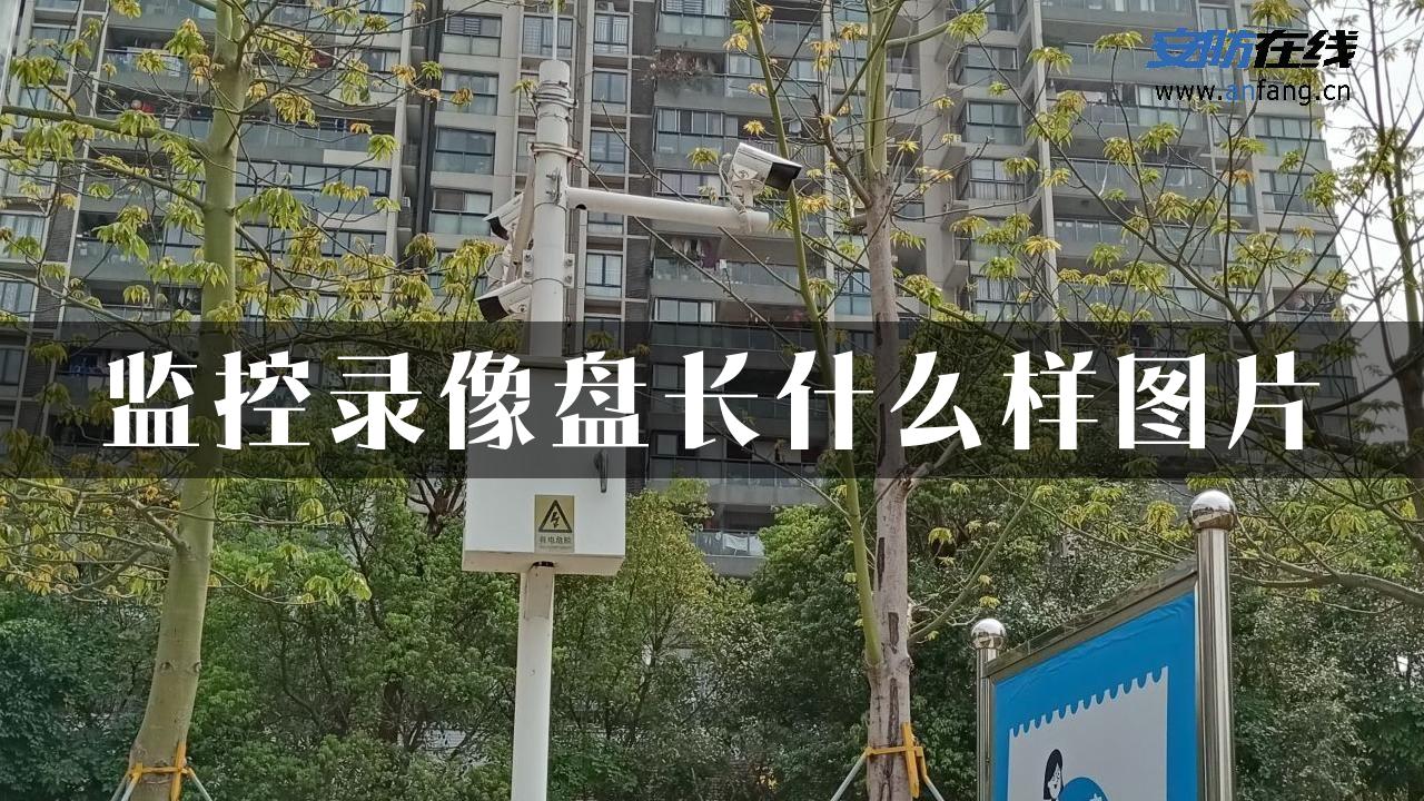 监控录像盘长什么样图片