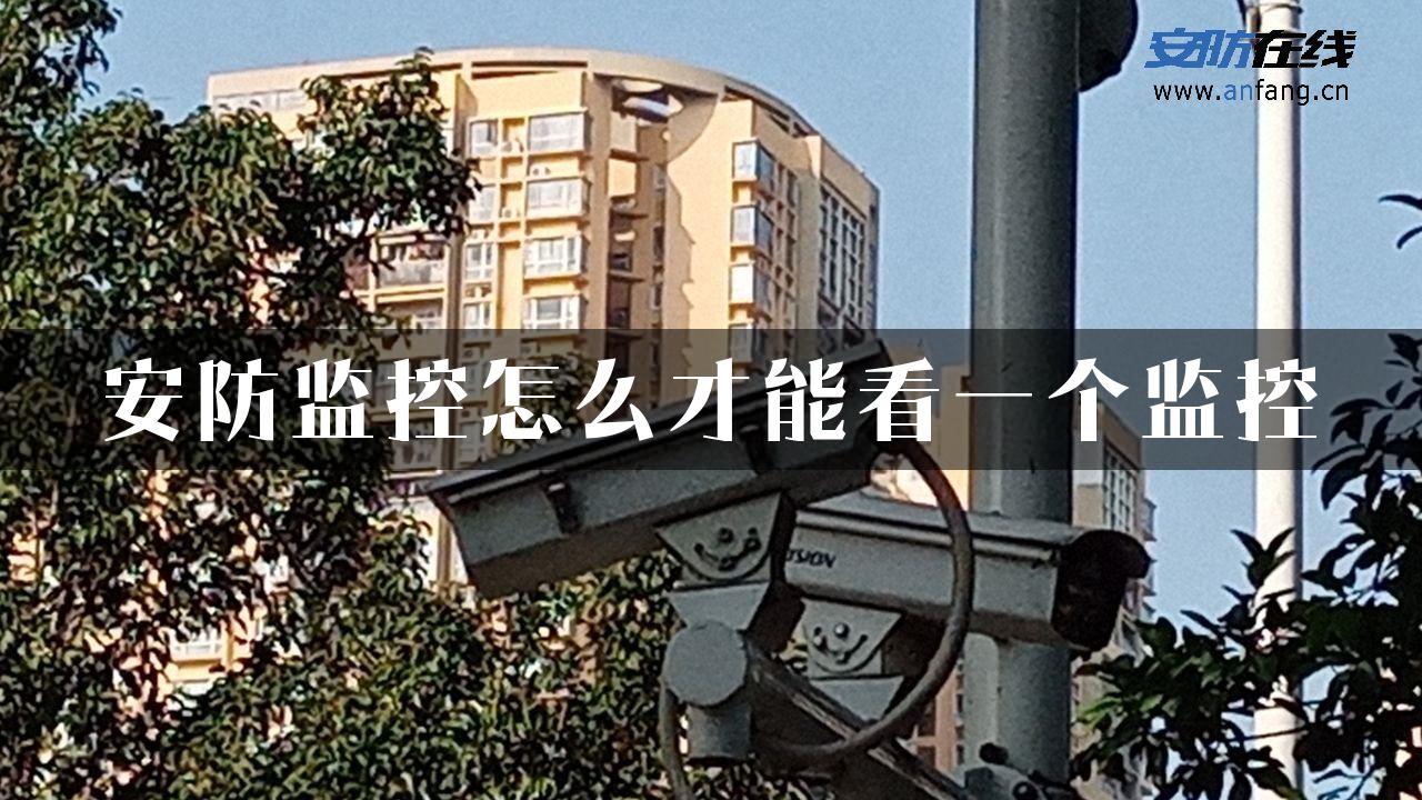 安防监控怎么才能看一个监控