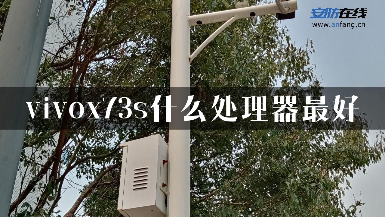 vivox73s什么处理器最好