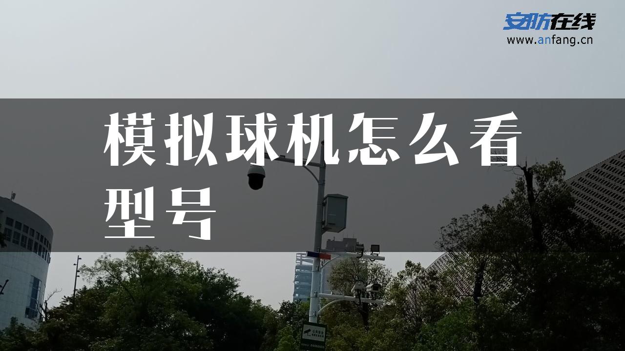 模拟球机怎么看型号