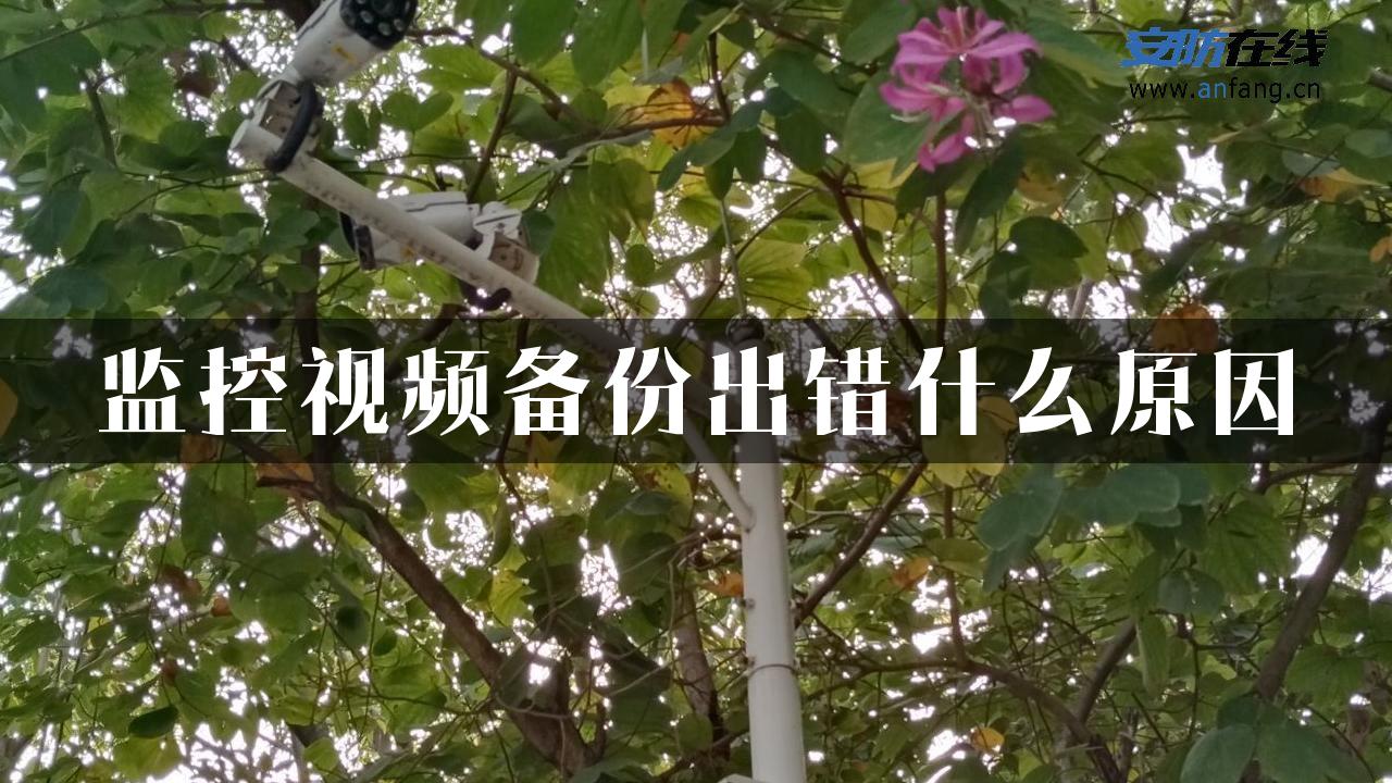 监控视频备份出错什么原因