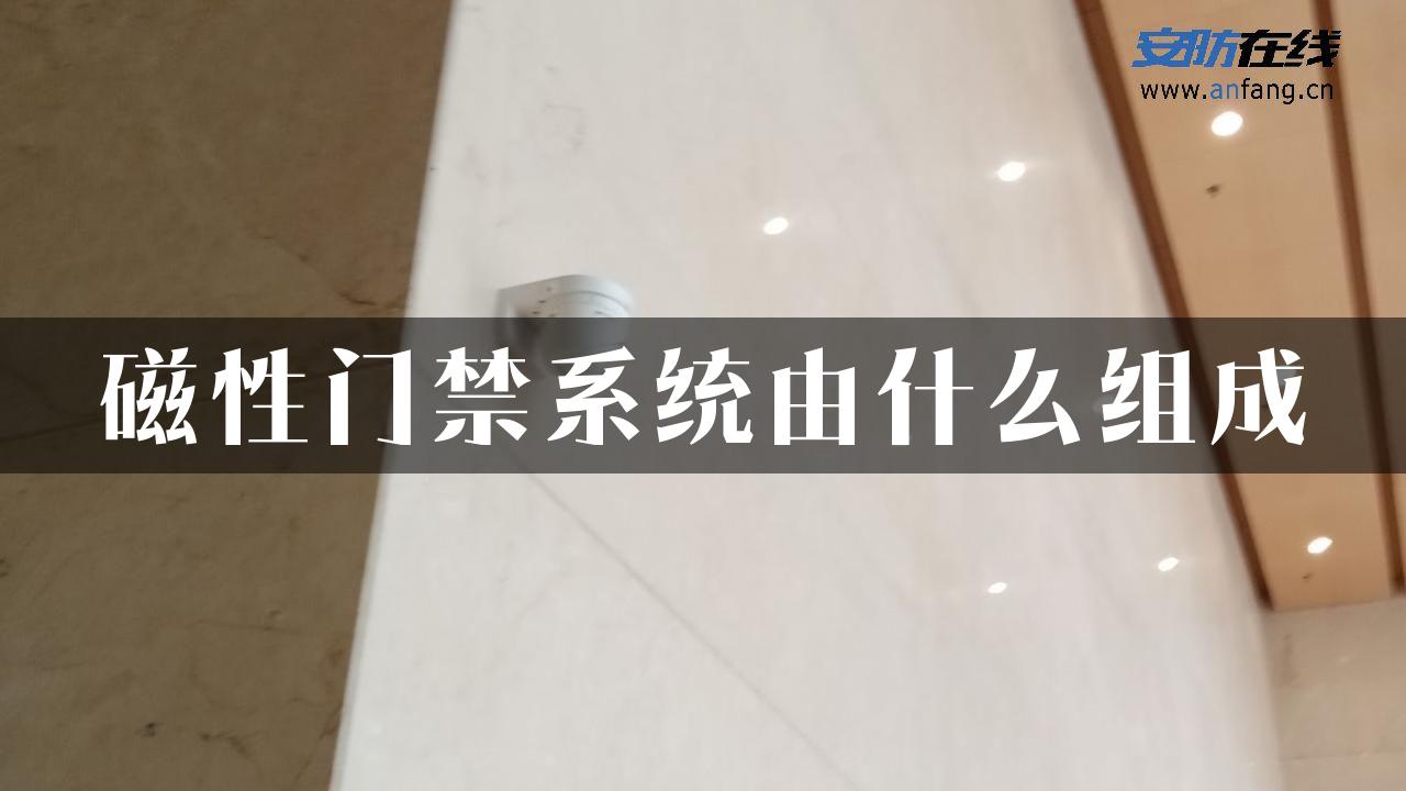 磁性门禁系统由什么组成