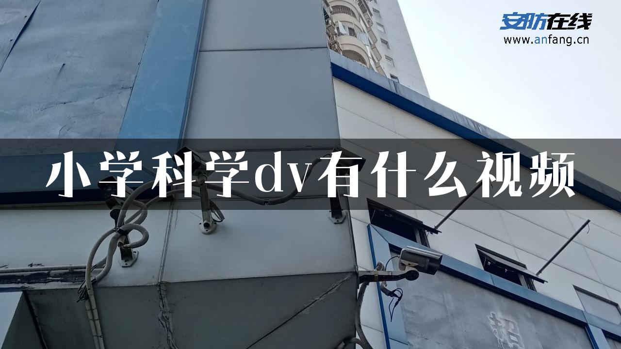 小学科学dv有什么视频