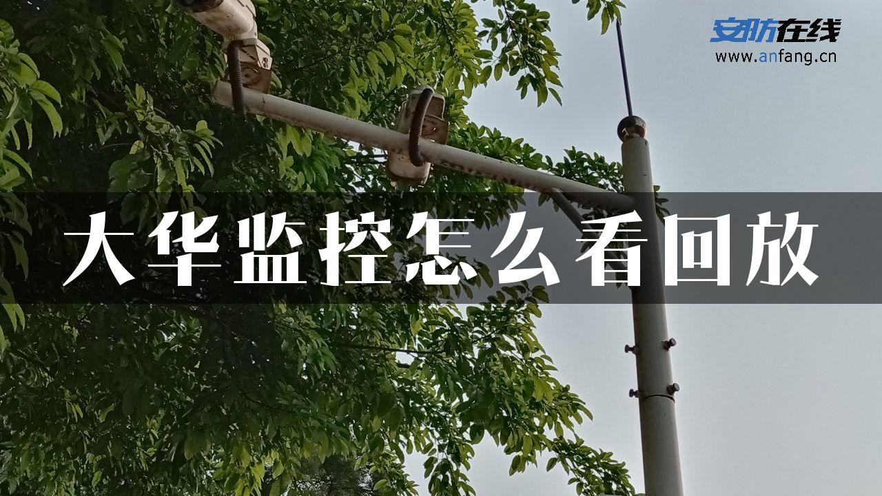 大华监控怎么看回放