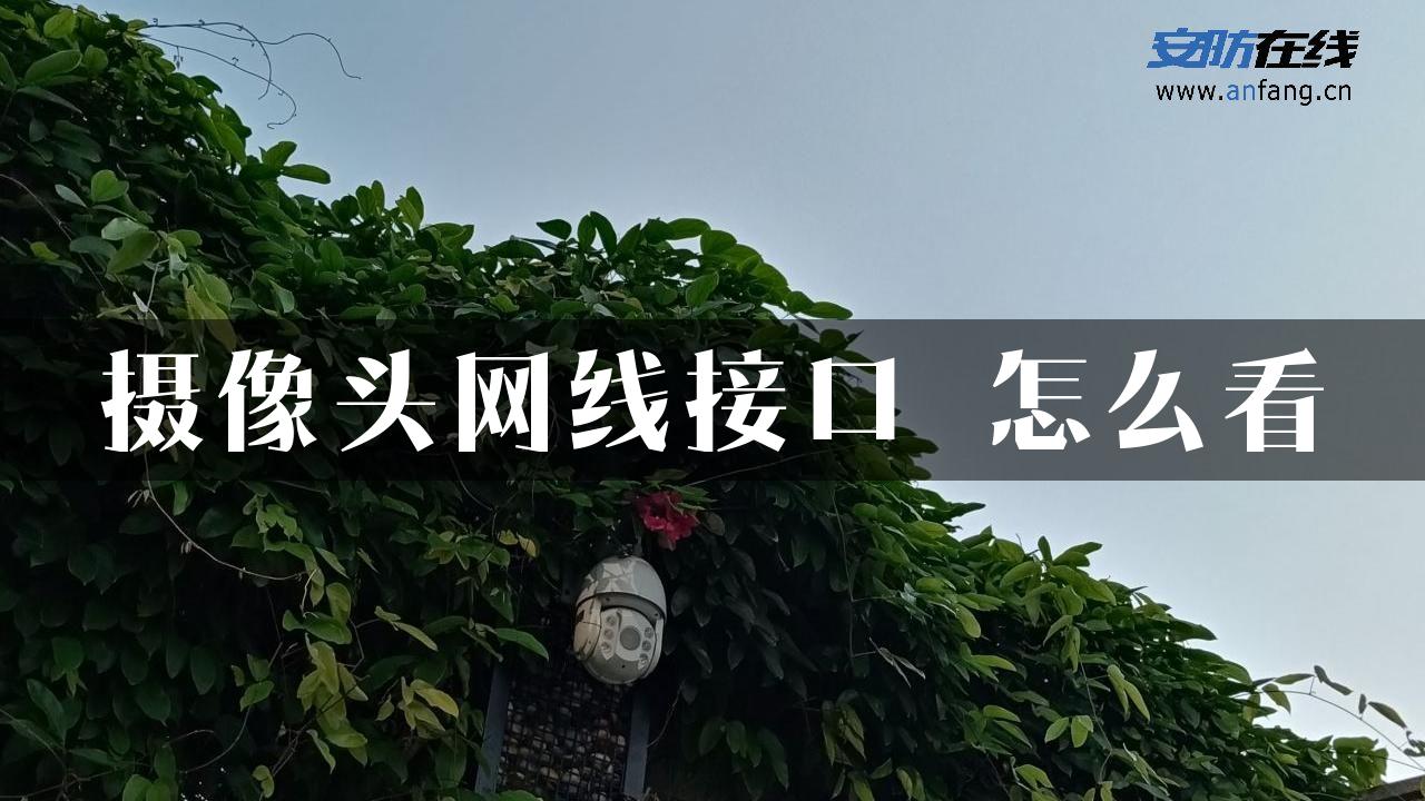 摄像头网线接口 怎么看