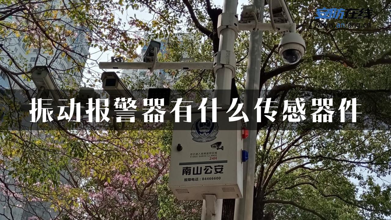 振动报警器有什么传感器件