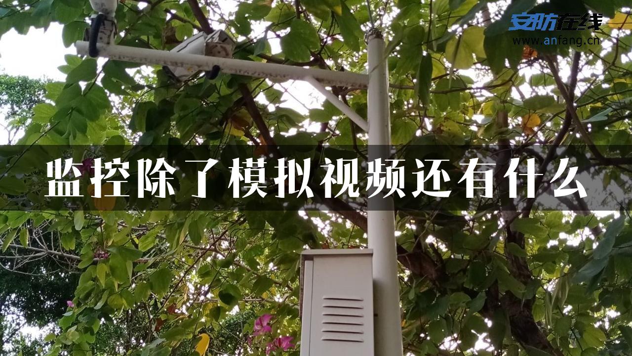 监控除了模拟视频还有什么