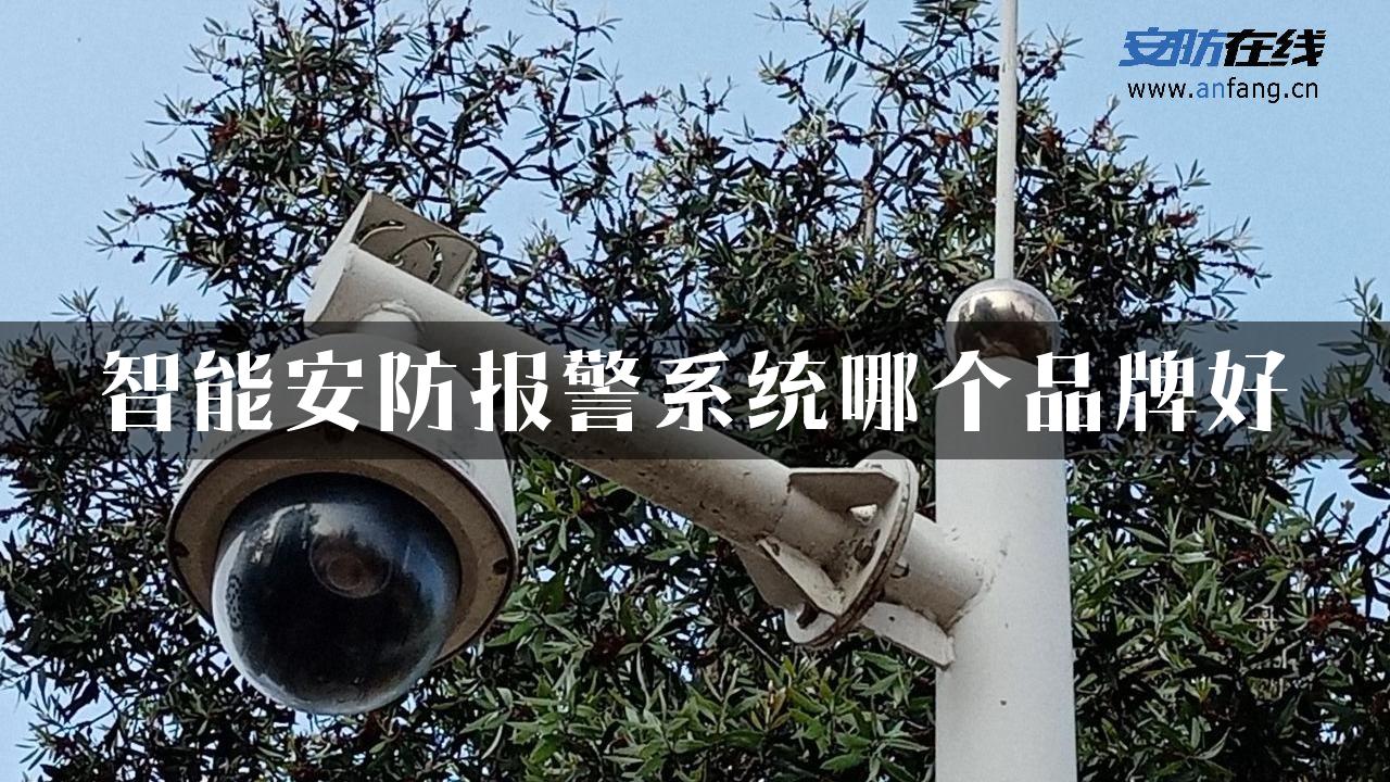 智能安防报警系统哪个品牌好