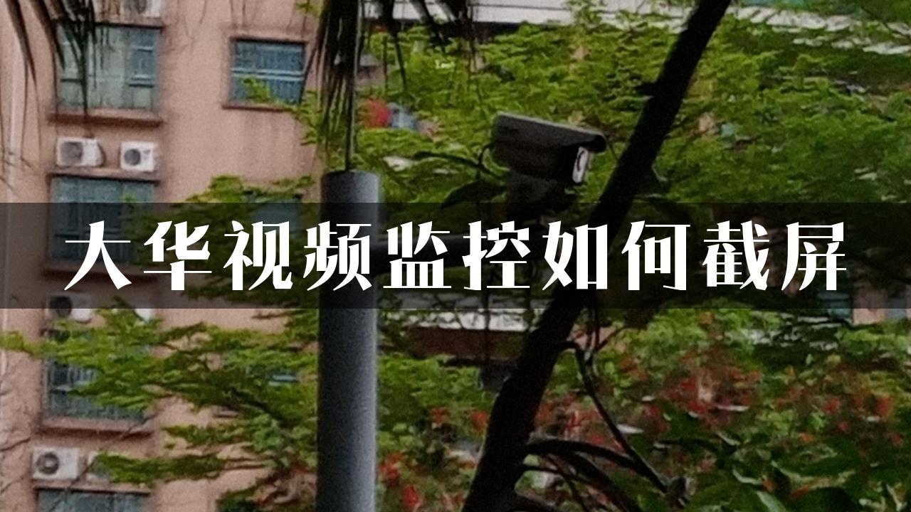 大华视频监控如何截屏