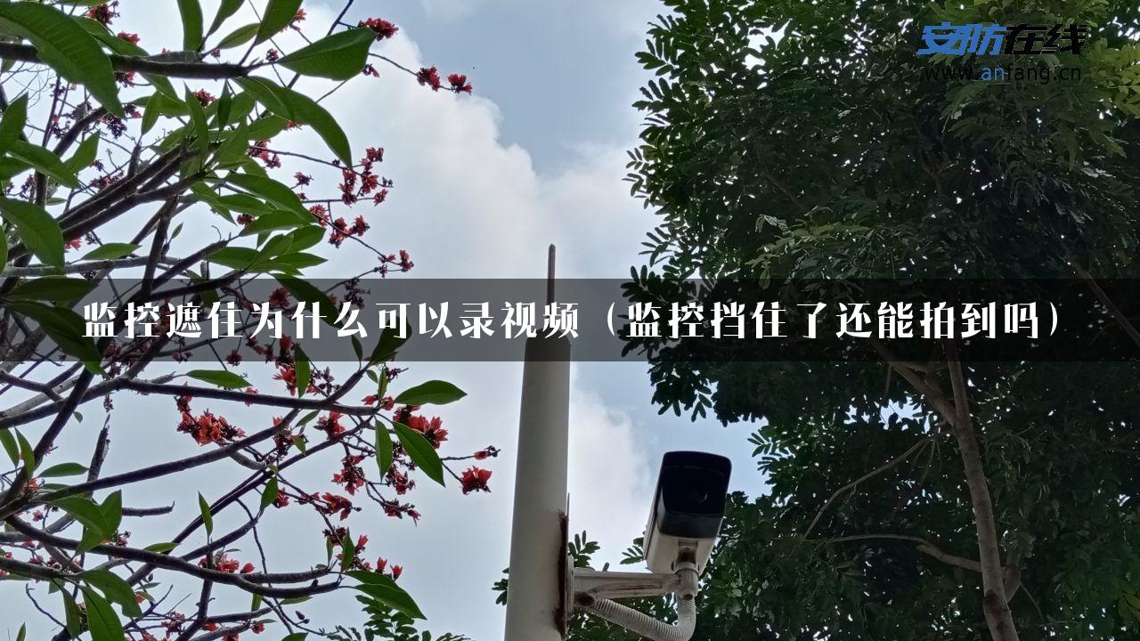 监控遮住为什么可以录视频（监控挡住了还能拍到吗）