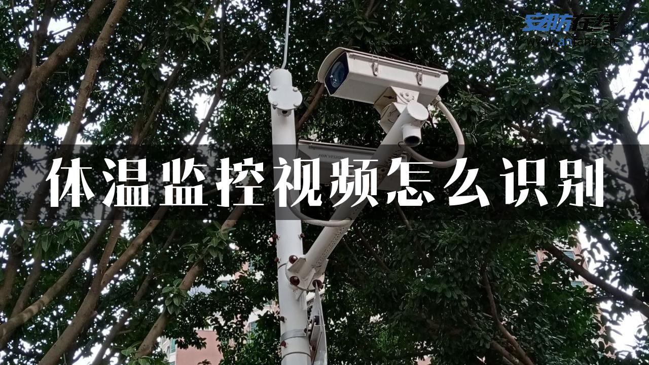 体温监控视频怎么识别