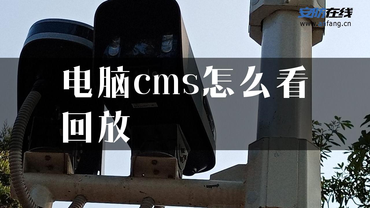 电脑cms怎么看回放