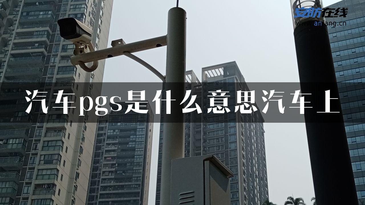 汽车pgs是什么意思汽车上