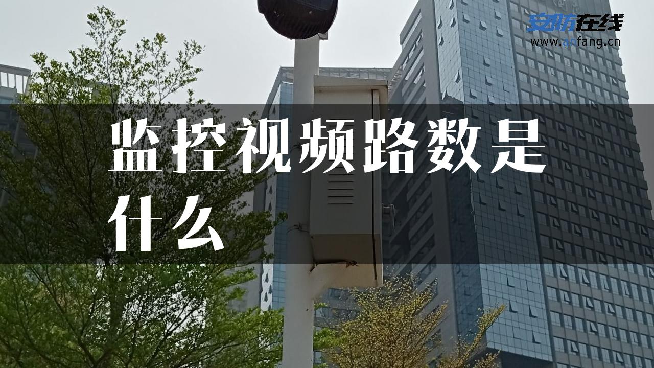 监控视频路数是什么