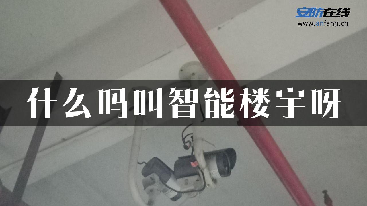 什么吗叫智能楼宇呀