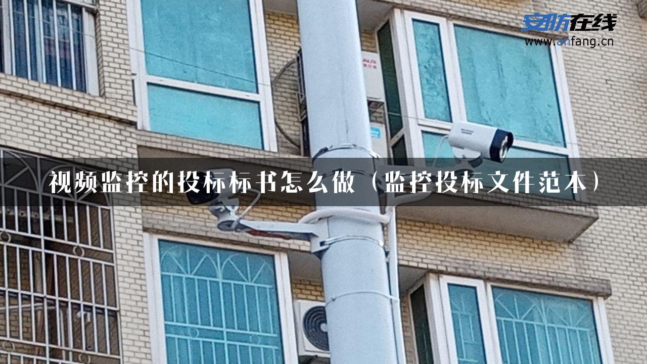 视频监控的投标标书怎么做（监控投标文件范本）