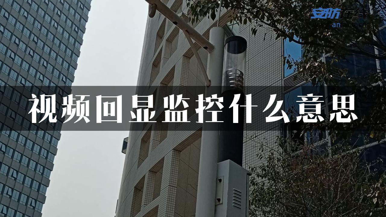 视频回显监控什么意思