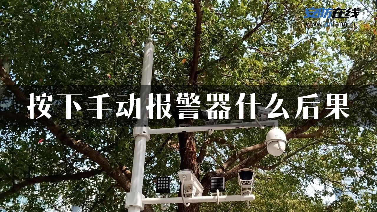 按下手动报警器什么后果