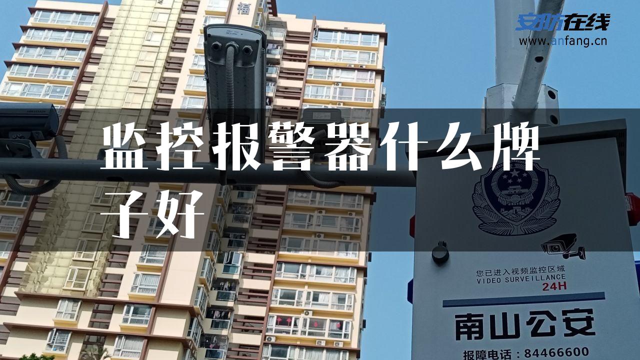 监控报警器什么牌子好