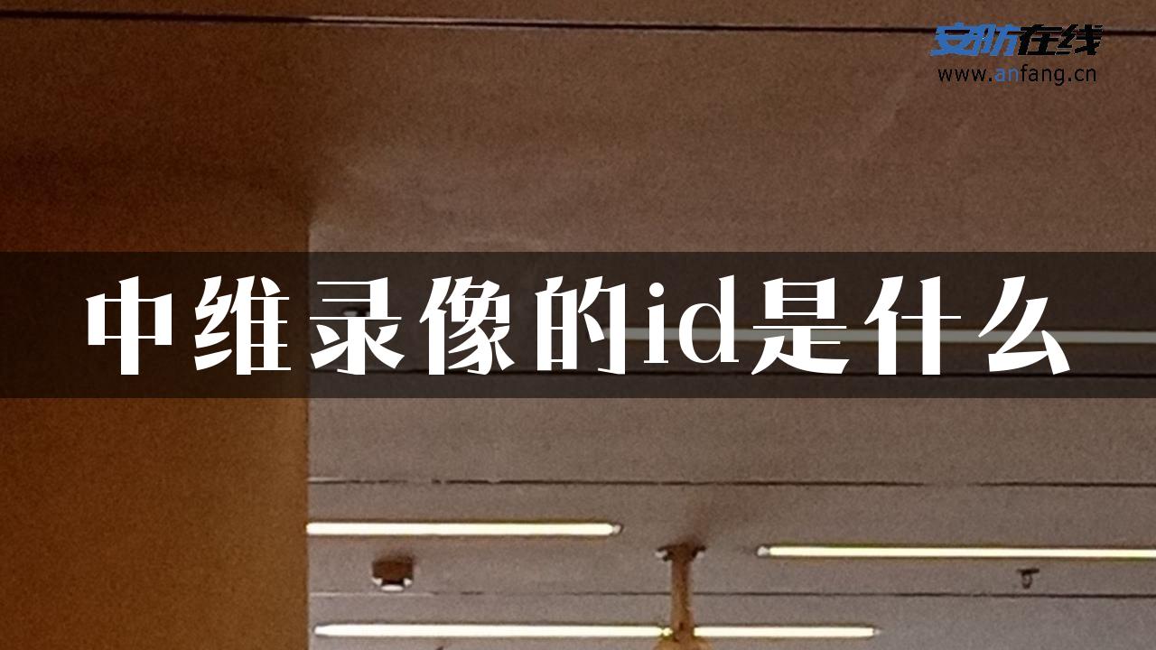 中维录像的id是什么