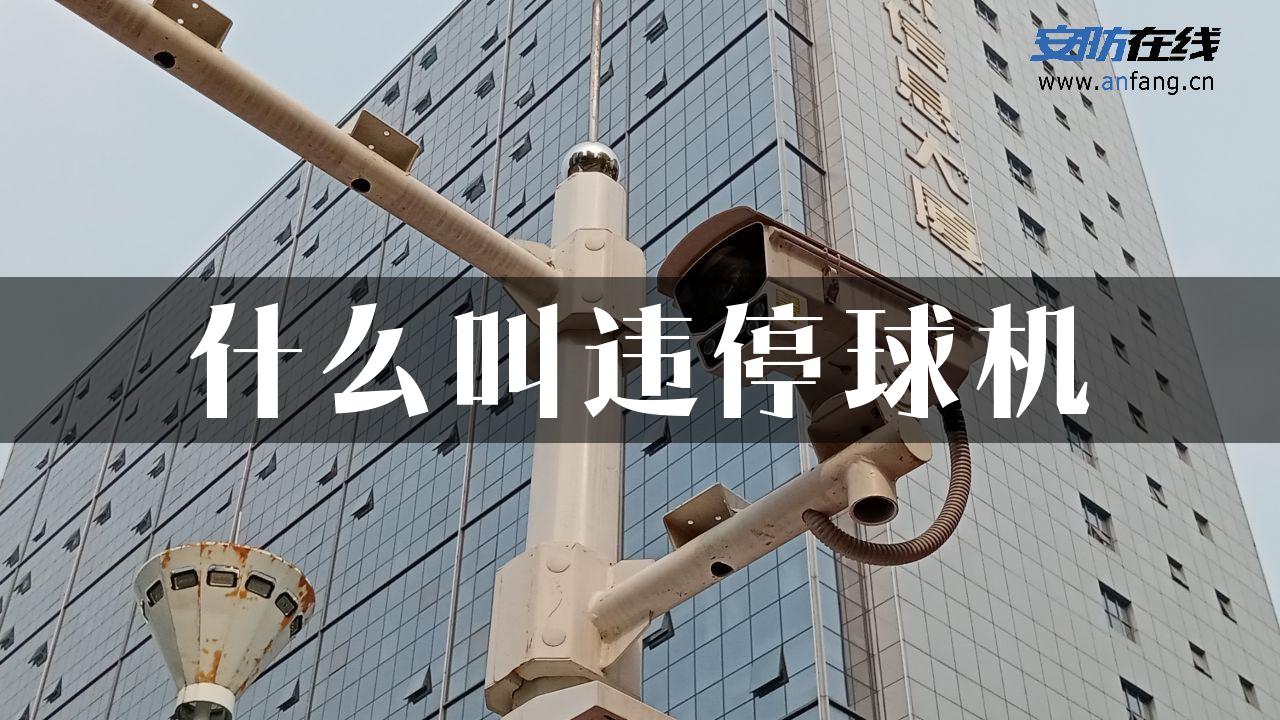 什么叫违停球机