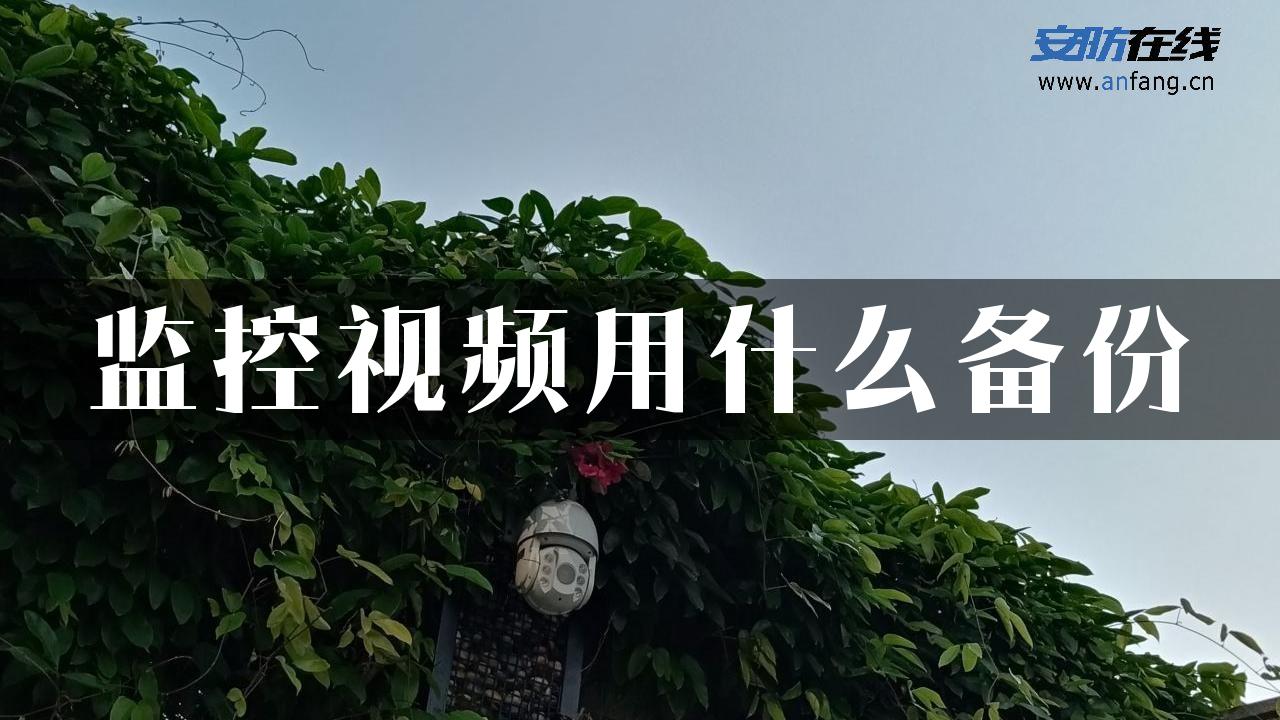 监控视频用什么备份