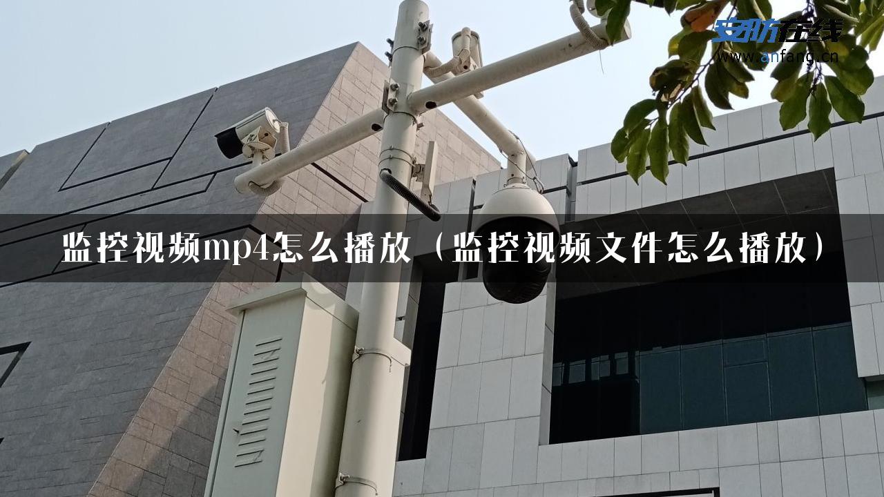 监控视频mp4怎么播放（监控视频文件怎么播放）