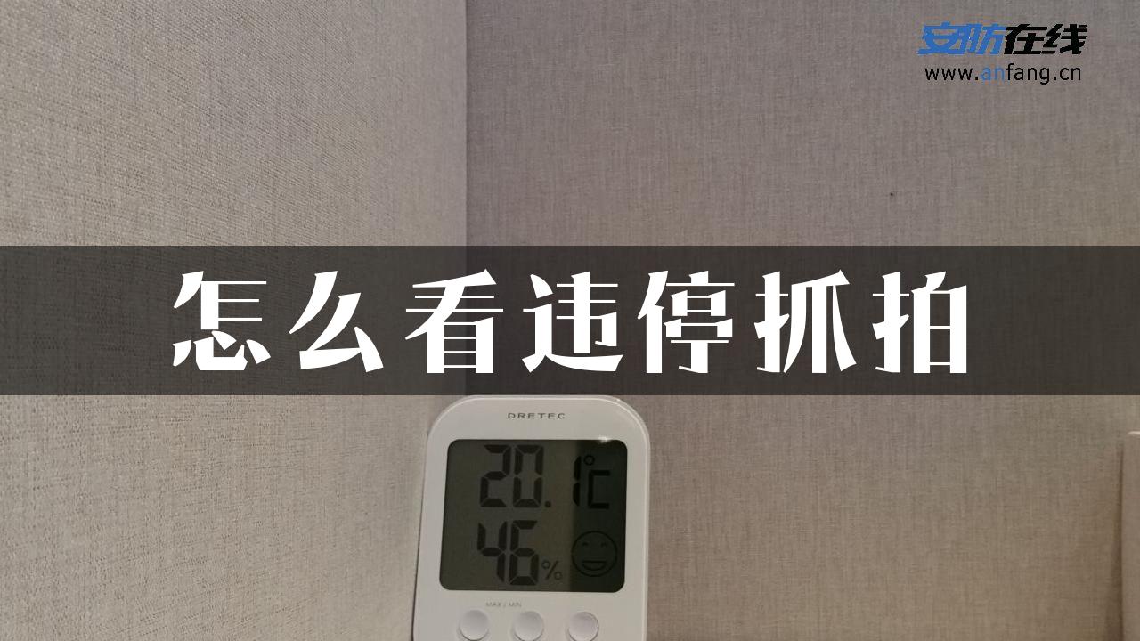 怎么看违停抓拍