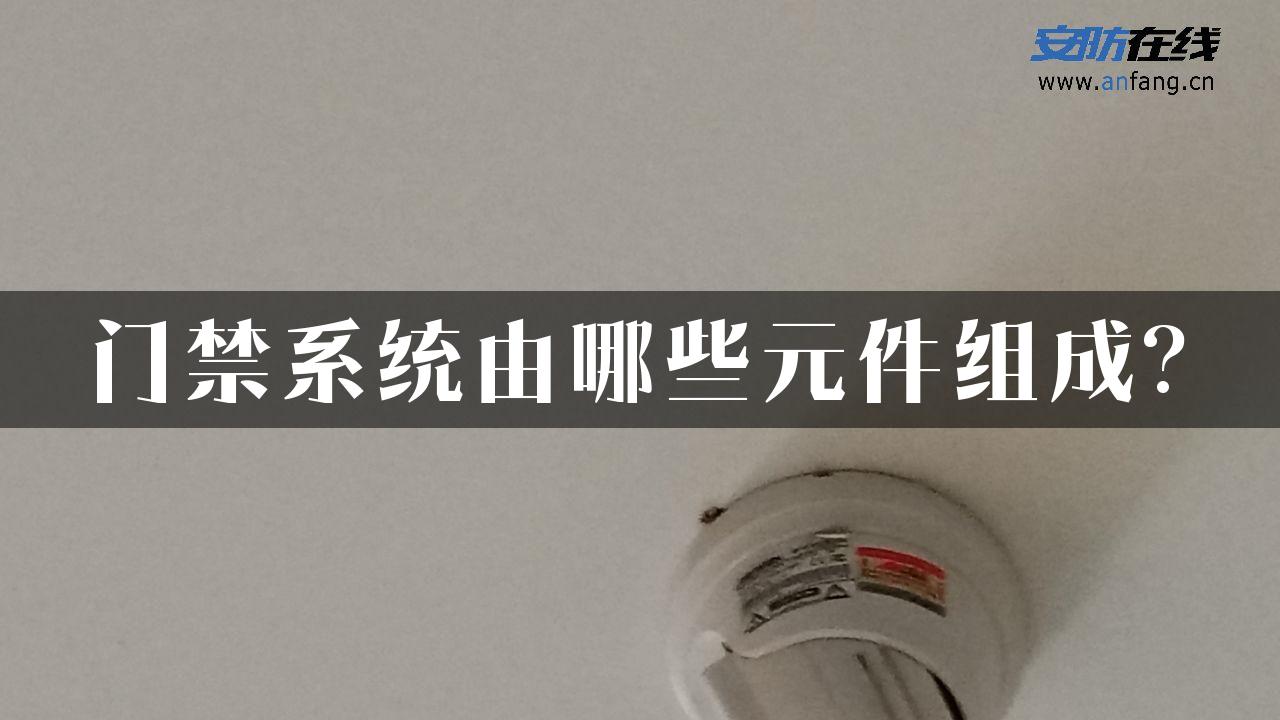 门禁系统由哪些元件组成?