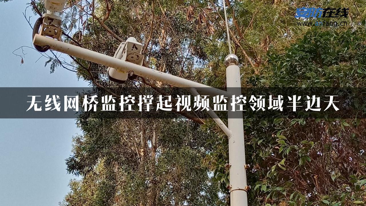 无线网桥监控撑起视频监控领域半边天