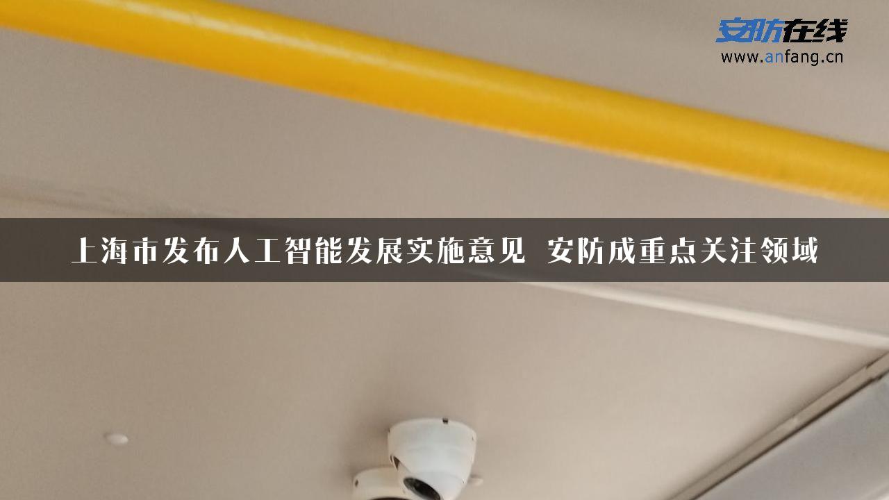 上海市发布人工智能发展实施意见 安防成重点关注领域