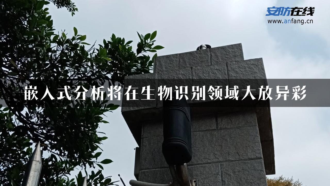 嵌入式分析将在生物识别领域大放异彩