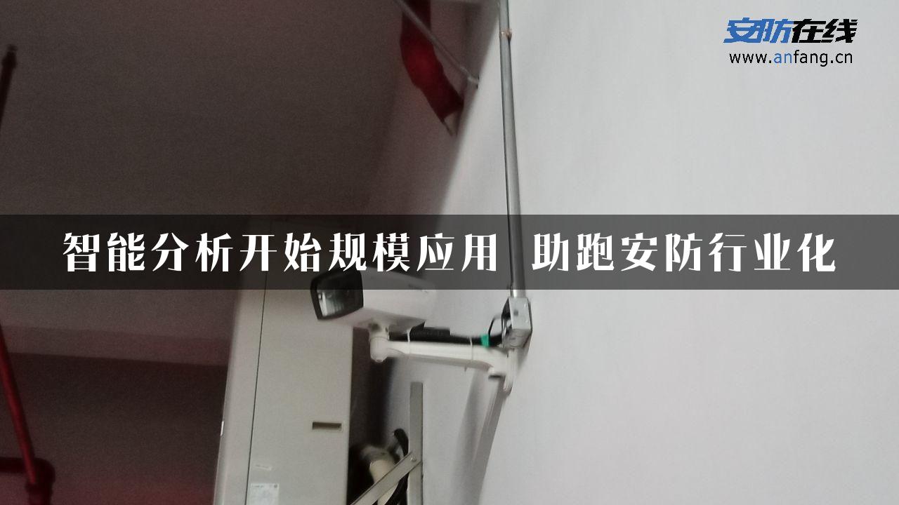 智能分析开始规模应用 助跑安防行业化