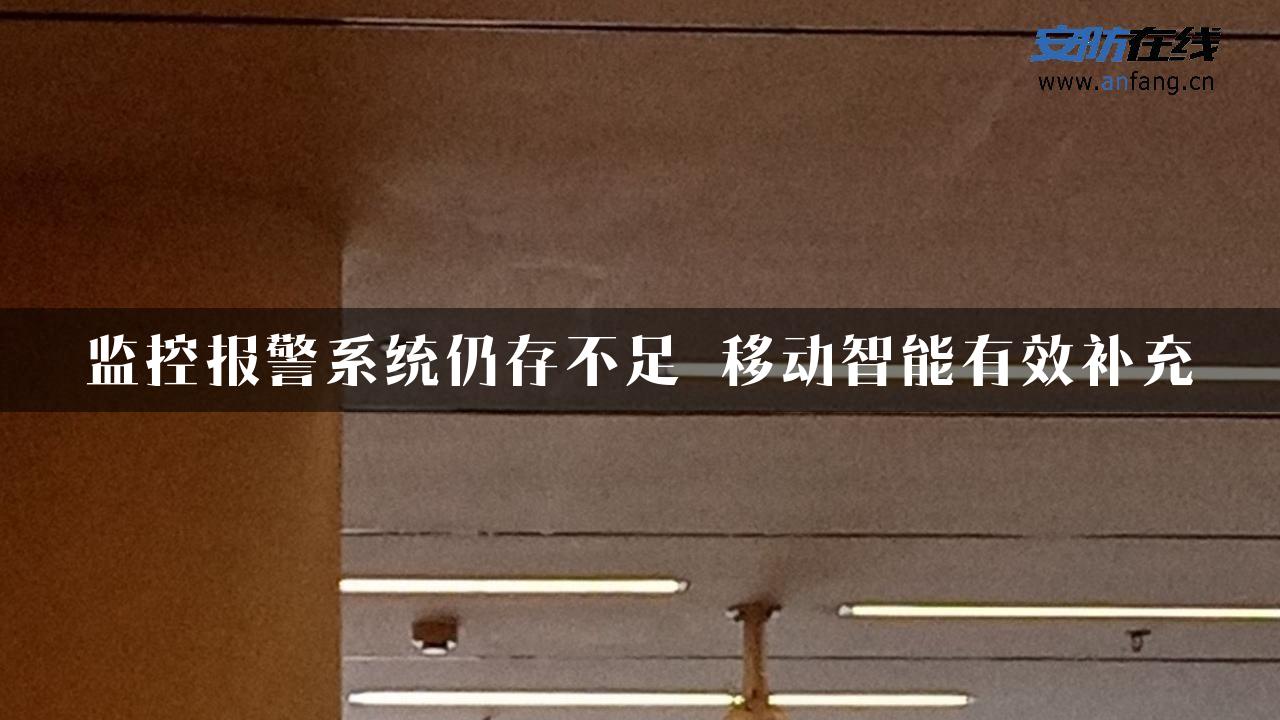 监控报警系统仍存不足 移动智能有效补充