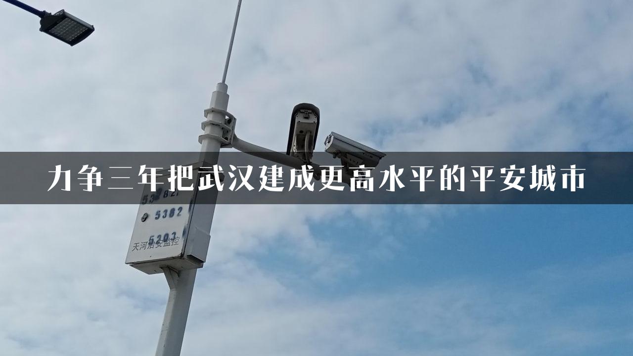 力争三年把武汉建成更高水平的平安城市