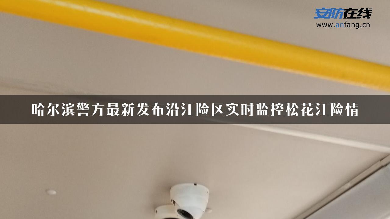 哈尔滨警方最新发布沿江险区实时监控松花江险情