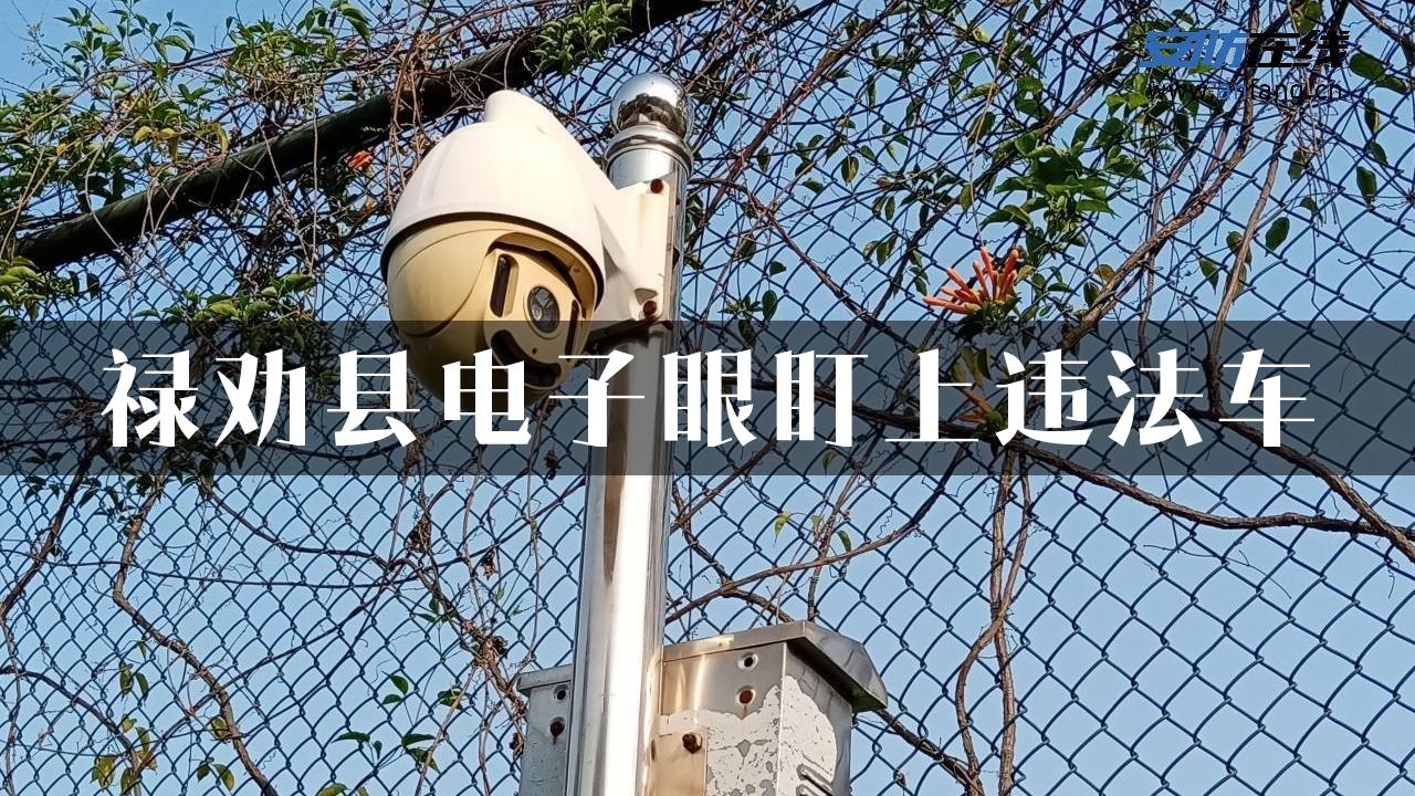 禄劝县电子眼盯上违法车