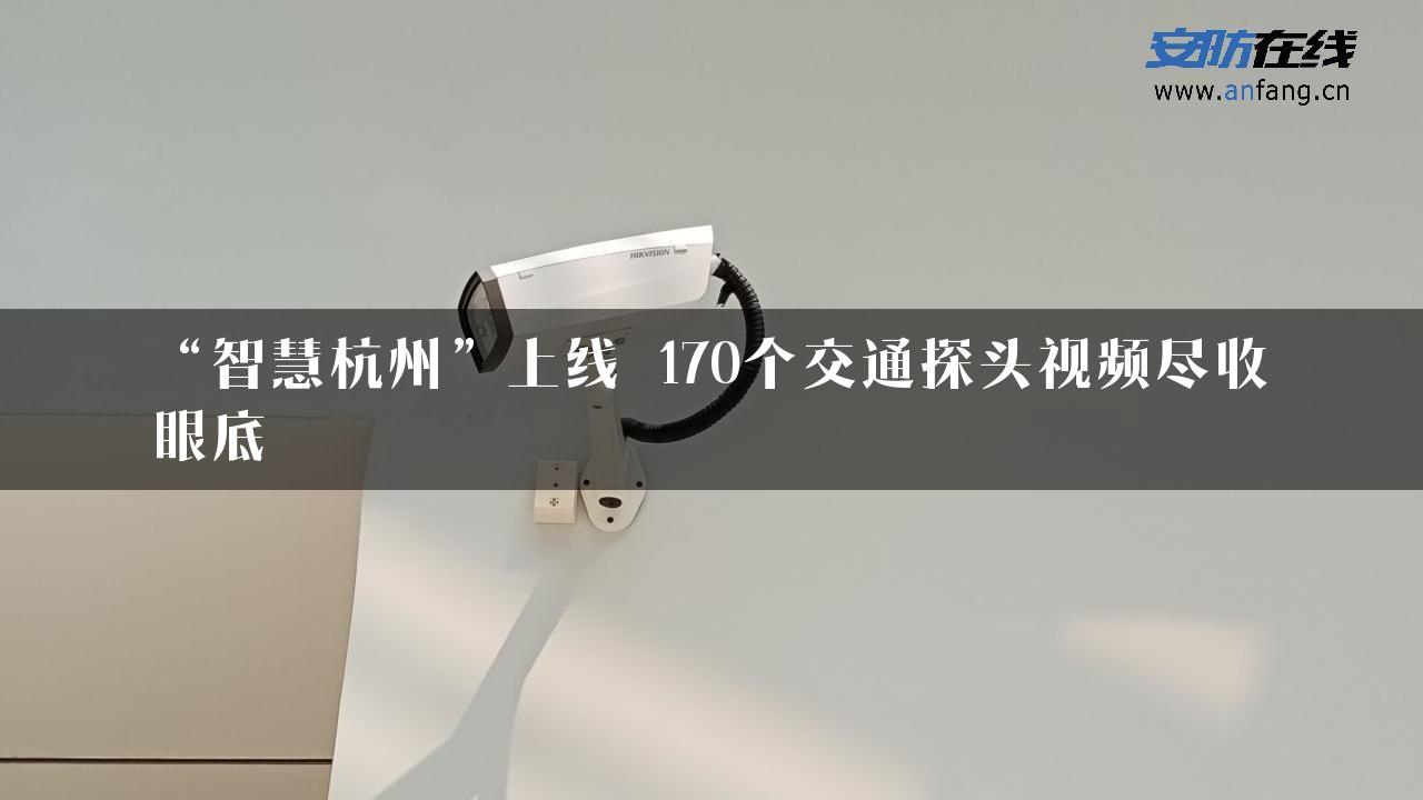 “智慧杭州”上线 170个交通探头视频尽收眼底