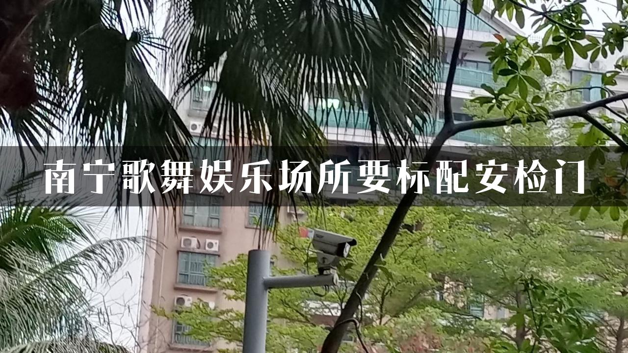 南宁歌舞娱乐场所要标配安检门